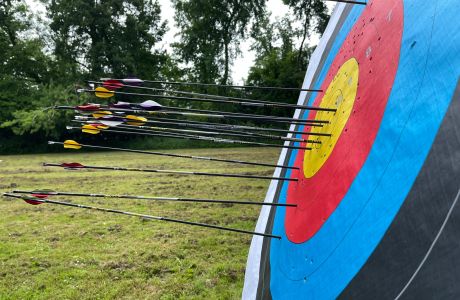 Pfeile stecken in einer Zielscheibe, seitliche Ansicht
